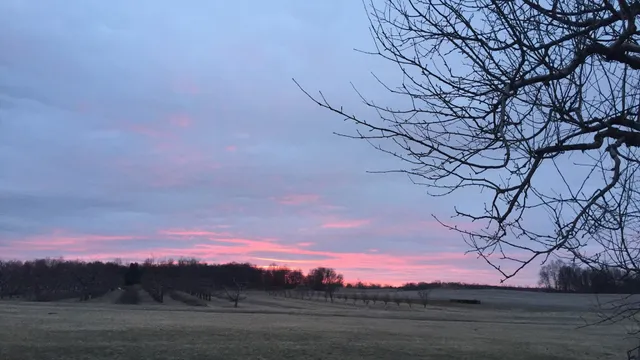 Meckley’s Flavor Fruit Farm