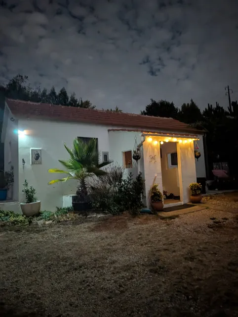 The Cottage Near The Lake, Pedrógão Grande