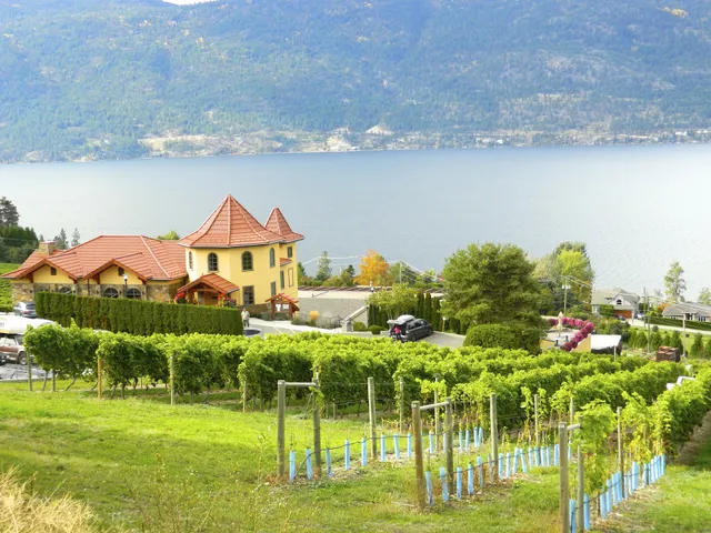 Winedownhere bed and breakfast