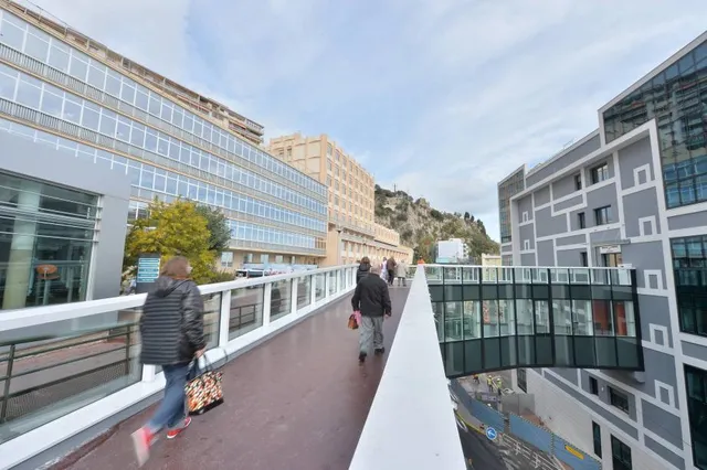 University of Medicine of Nice - UNS Santé