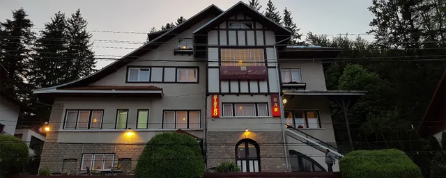 Vila "Pensiunea Gabriel"