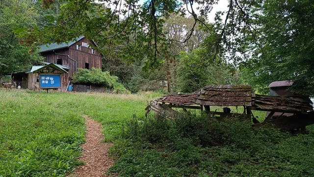 Tryon Life Community Farm