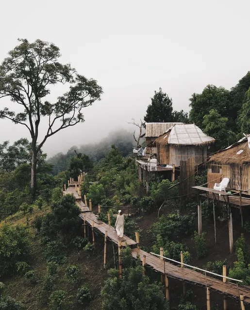 กาแฟอาลูลู ดอยล้าน