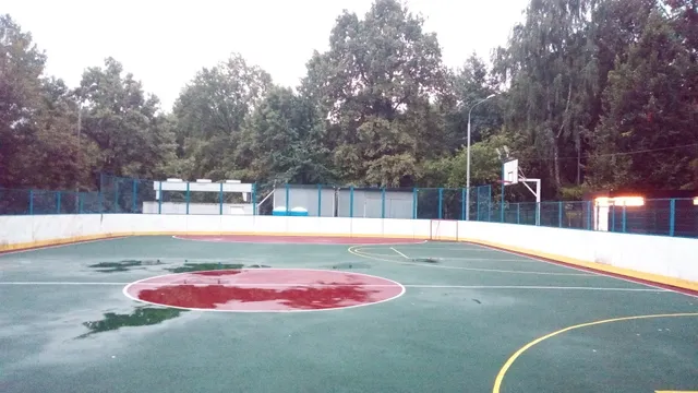 Vostochnoye Degunino District