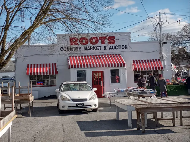 Root's Old Mill Flea Market