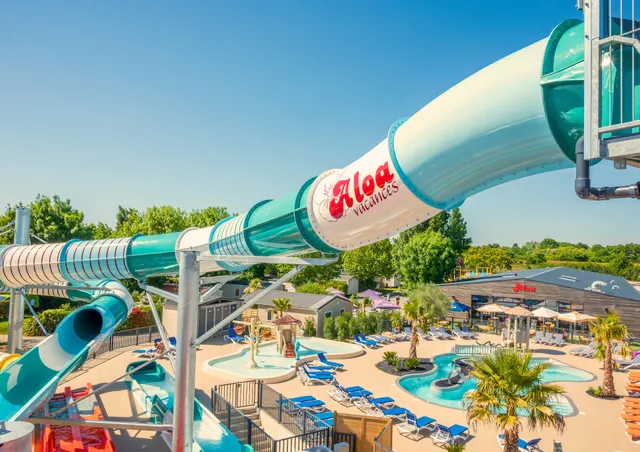 camping the summer nest