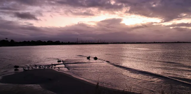 Altona Beach Dog Off Leash Arena