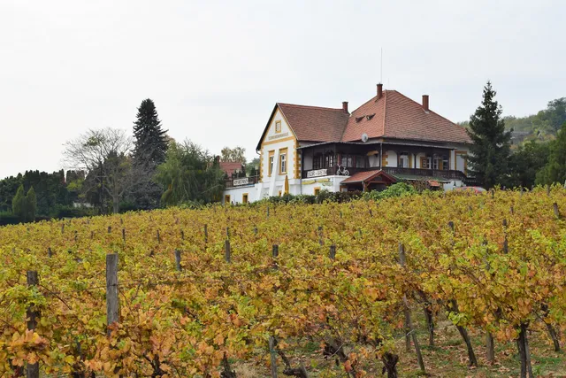 Sörpatika Vendégház