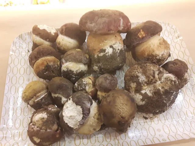 Panetteria Il Cantuccio