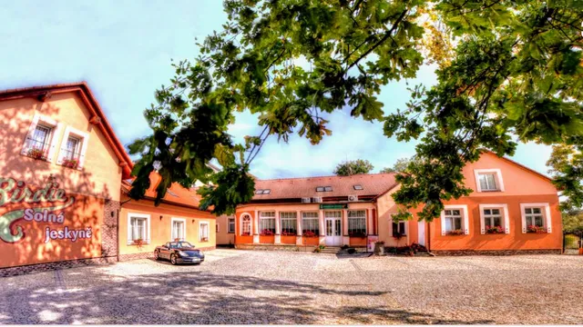 BIRDIE Pension & Wellness