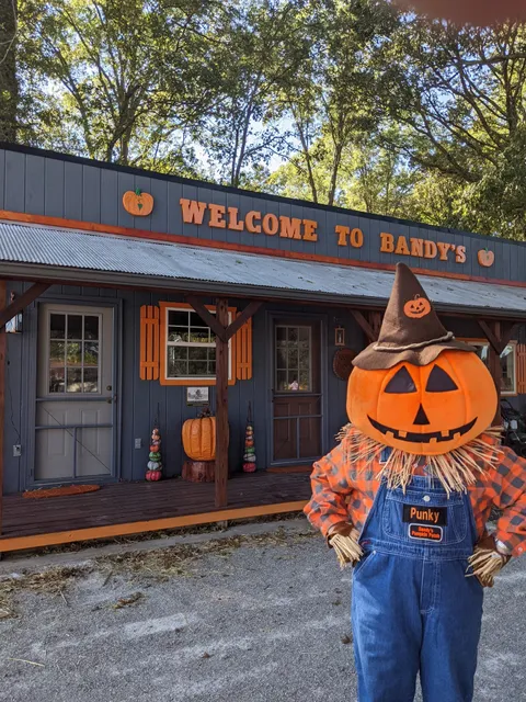 Bandys Pumpkin Patch