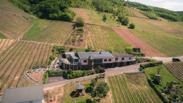 Urlaubsweingut Zecherhof