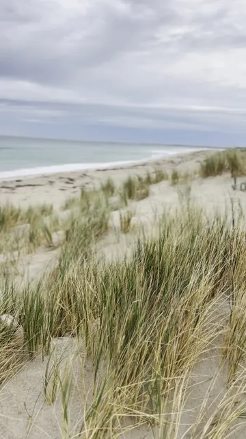 Golden Bay Foreshore Reserve