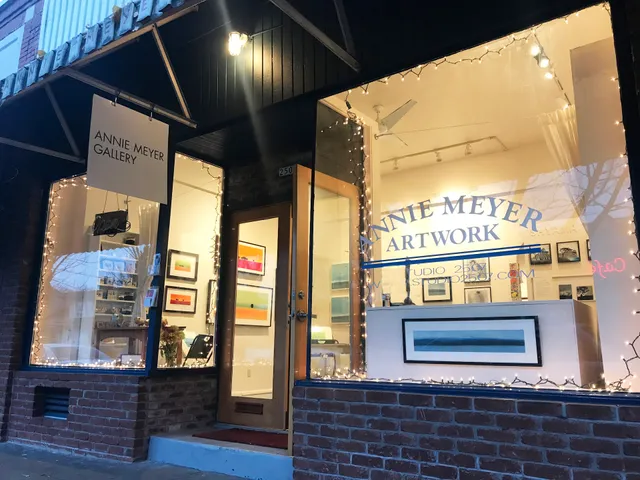 Annie Meyer Gallery