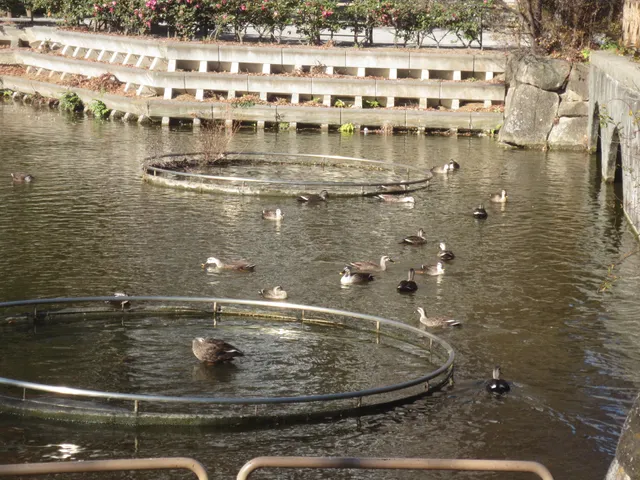 Adachi Kuritsu Towa Water Park