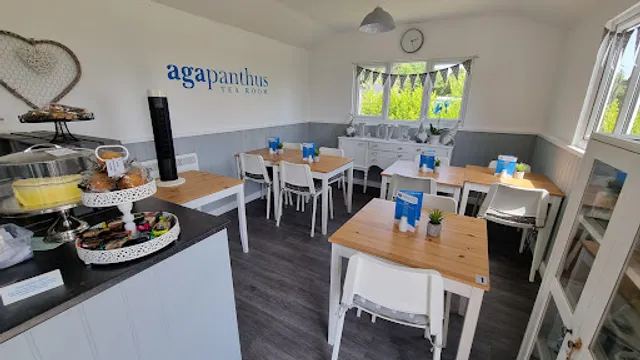 Agapanthus Tea Rooms
