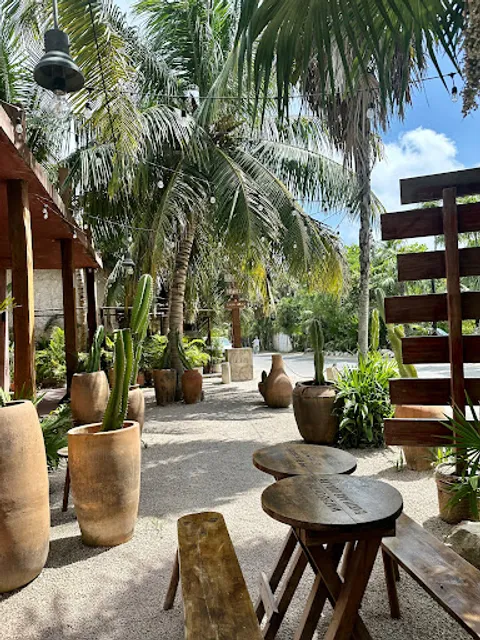 Holy Deer Cafe & Cenote