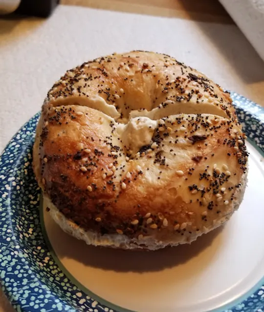 Pigeon Bagels