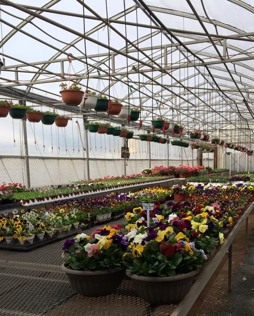 Wayne's Greenhouses and Garden Center