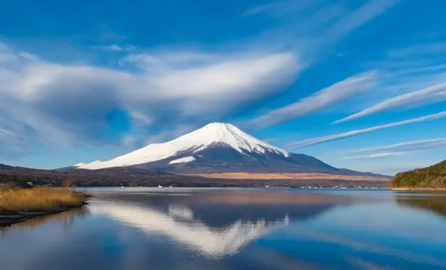 水辺のボードウォーク