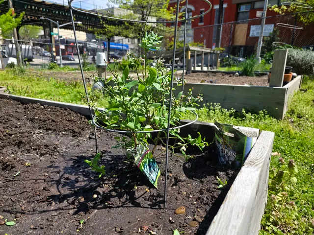 Eagle Slope Community Garden