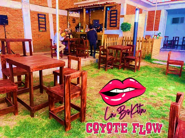 La Bokita Coyote Flow