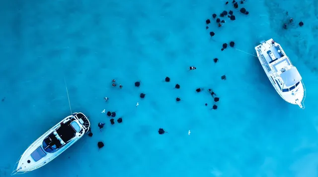 Stingray City Cayman Islands