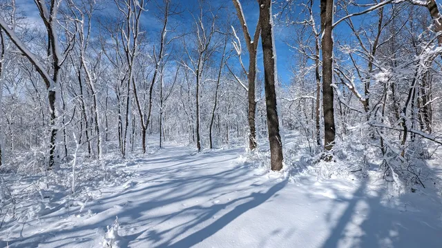 Frytown Conservation Area
