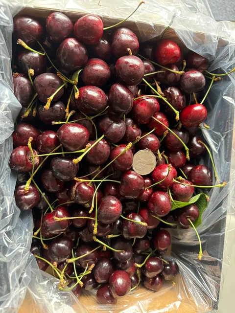 Griggs Apple's for sale