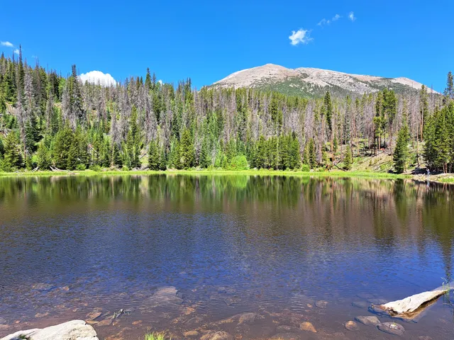 Lily Pad Lake Trail Head