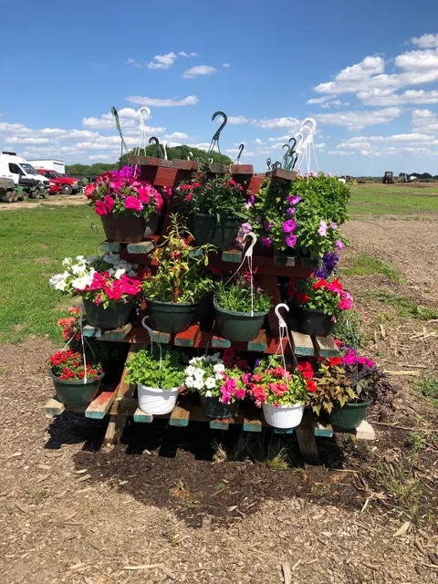 Local Harvest Herbs and Produce