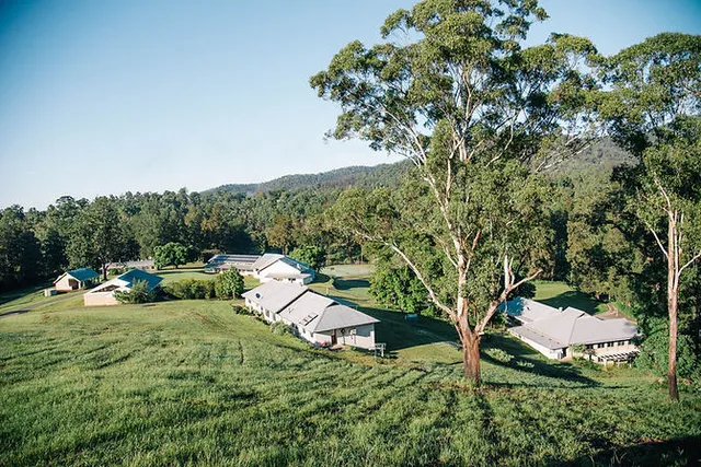 Misty Mountain Lifestyle Retreat