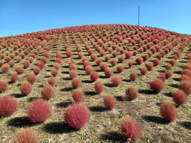 Hakodateyama Gondola