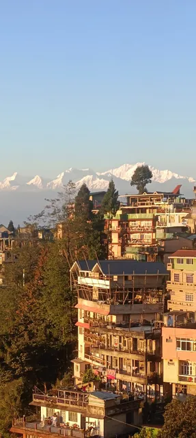 Pines N Ferns Homestay