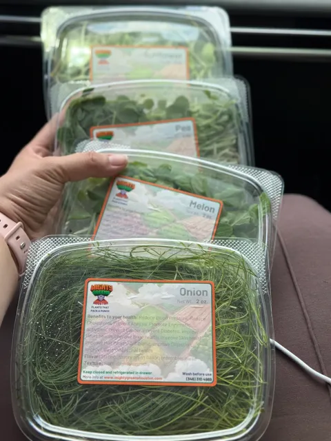 Mighty Greens Houston