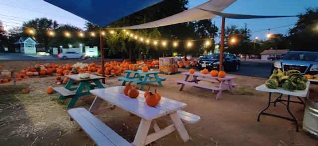 Summer Moon Coffee (Mobile Moon)