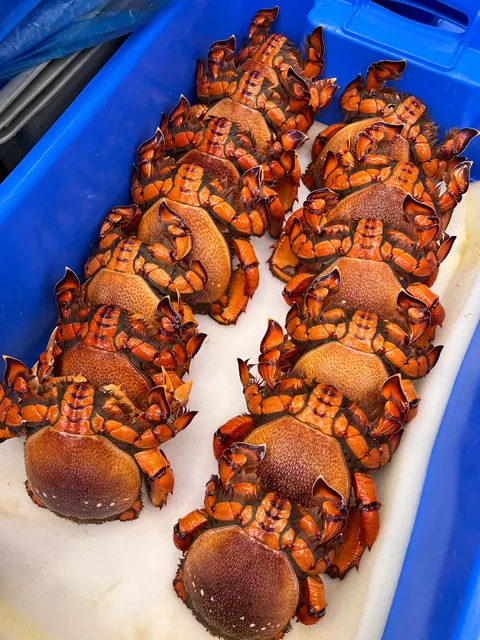 DAI DUONG FRESH SEAFOOD