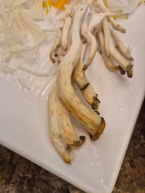 샤브향 울산일산점