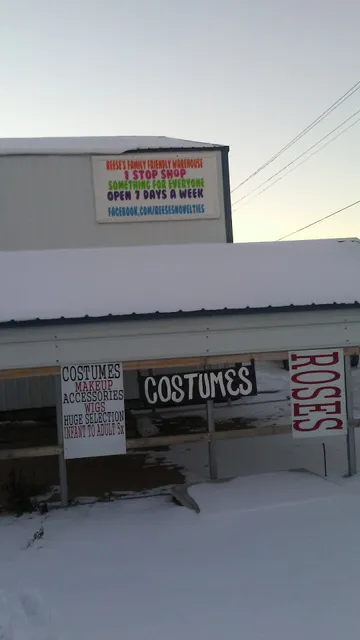 Reese's Enterprises Inc