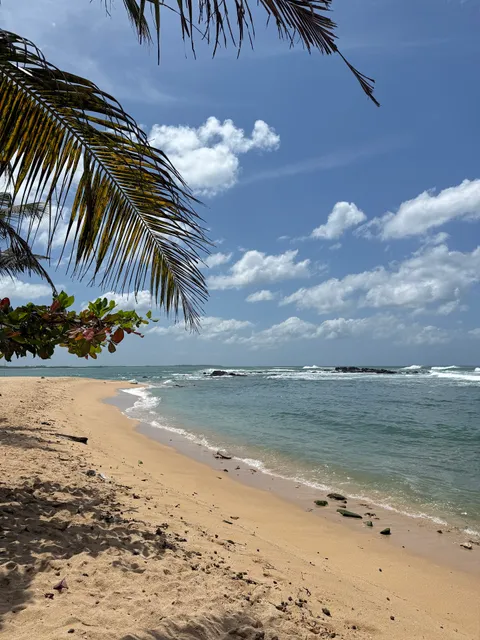 Parewella Natural Swimming Area