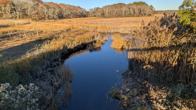 Old Sandwich Game Farm Wildlife Management Area