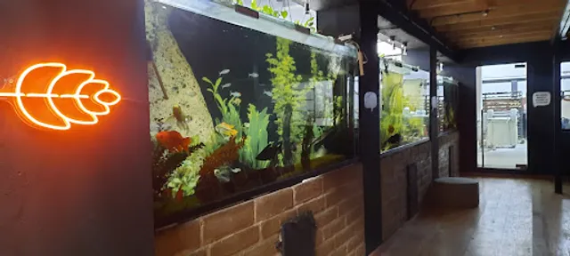 Panaderia Tradicional SUKRAM