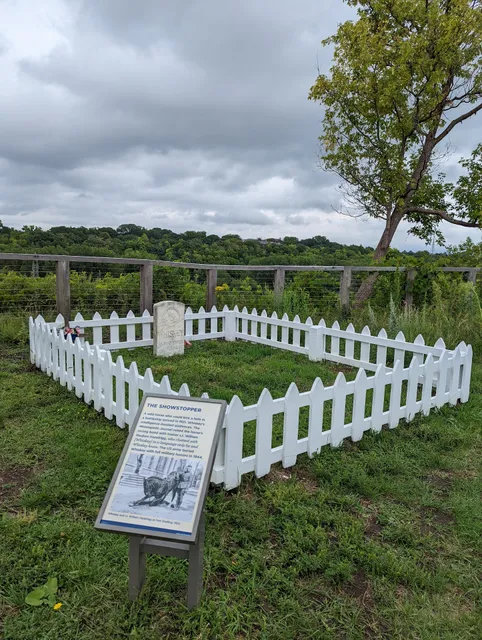 Whiskey the Horse Gravesite