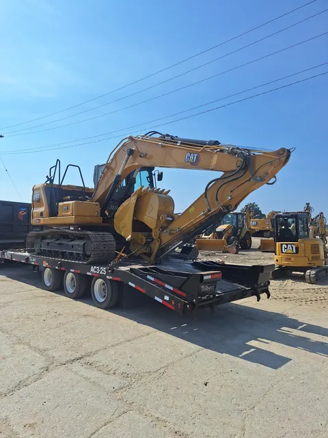 Ohio Cat - Cincinnati