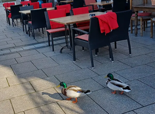 Ristorante da Franco