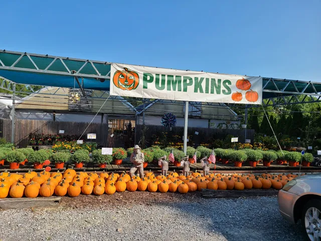 Sunny Garden Greenhouses