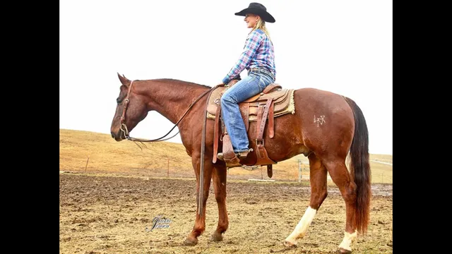 Billings Livestock Commission