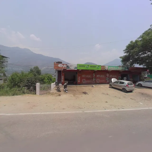 Paragliding in Bir Billing - Pine & Sky