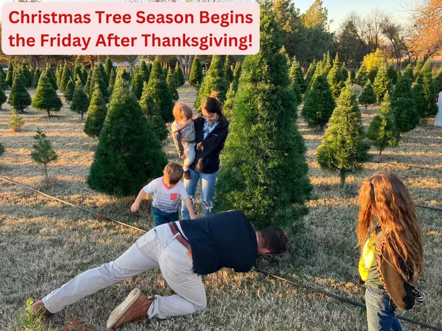 Cross Timbers Christmas Tree Farm and Pumpkin Patch