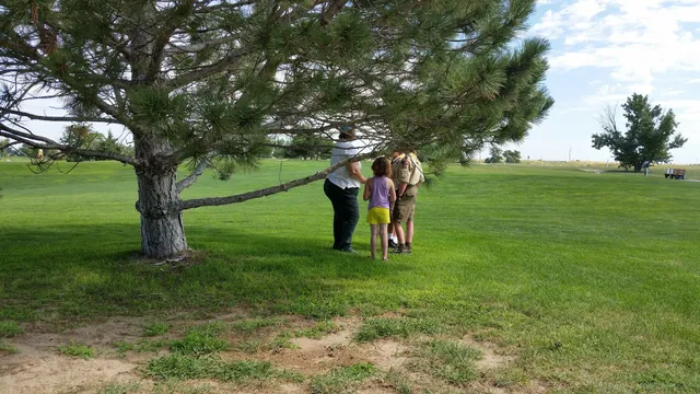 The Course at Petteys Park